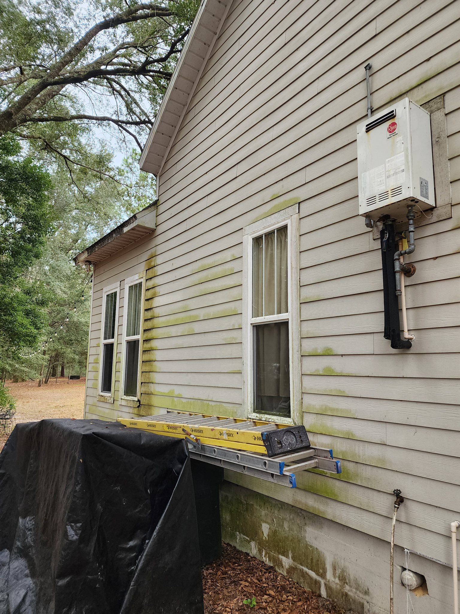 Soft washing service