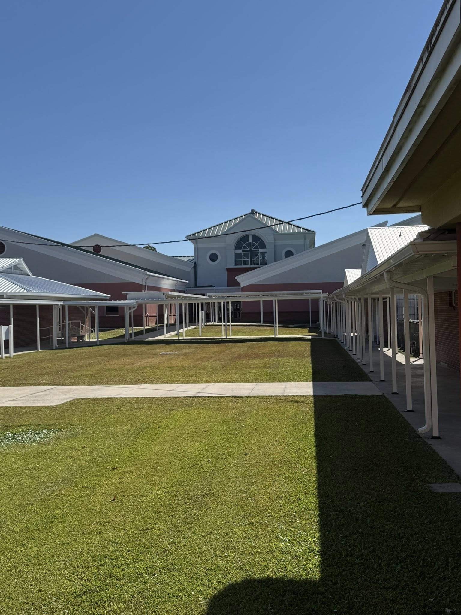 Professional roof washing in progress